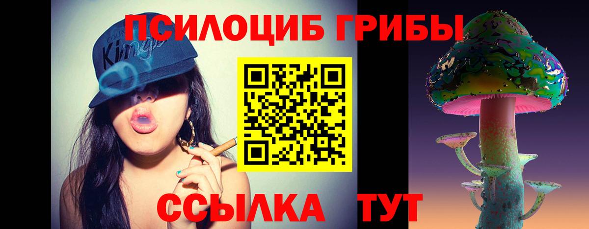 Псилоцибиновые грибы Psilocybine cubensis Урай